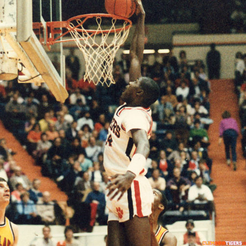 image-careerTigers-2